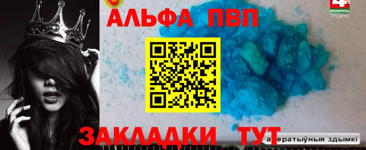 Alpha PVP СК КРИС Урус-Мартан