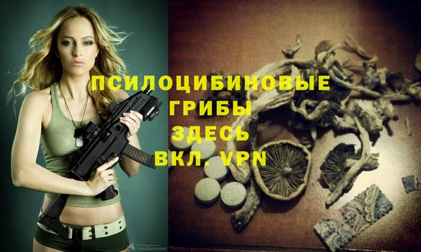 шишки Куйбышев