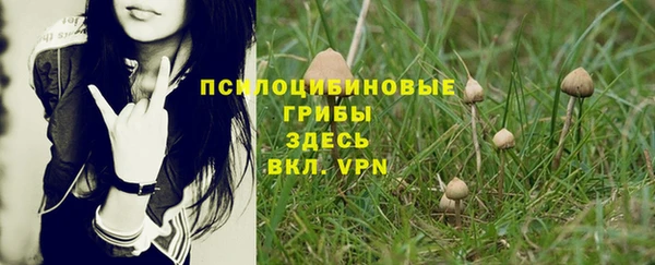 Альфа ПВП Кулебаки