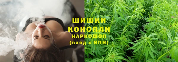 2c-b Кукмор