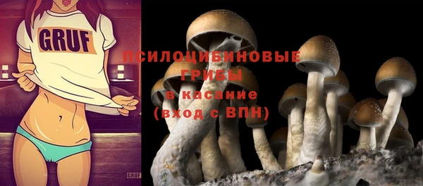 2c-b Кукмор