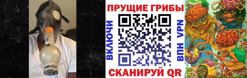 Псилоцибиновые грибы мицелий Урус-Мартан