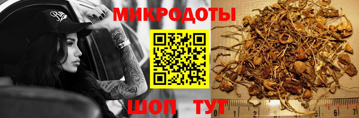 Галлюциногенные грибы Psilocybe  Урус-Мартан 